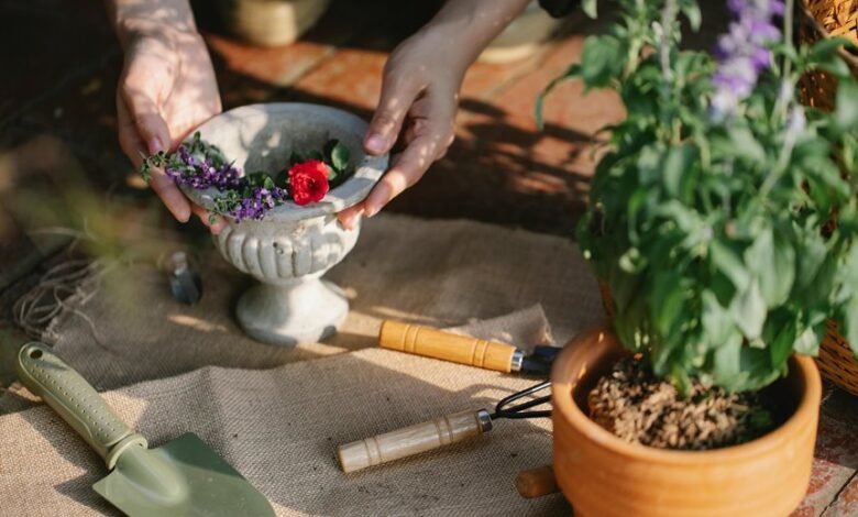 digital growth optimization tools