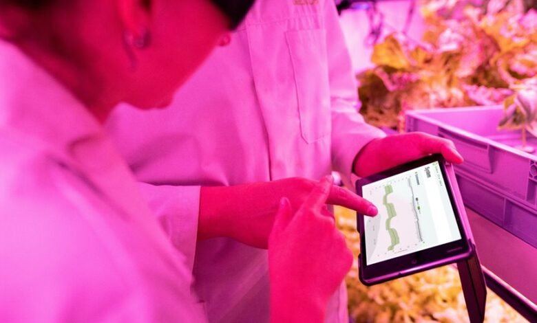 empower your digital growth