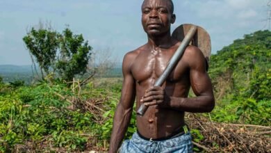 enhance your digital growth